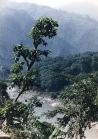 Annapurna-trekking