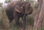 Chitwan National Park